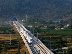 道路、橋梁、隧道與市政工程質量控制精華集萃——筑龍論壇專業分享