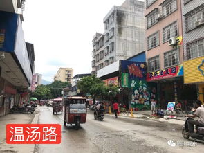 陸川縣市政道路工程建設(shè)取得階段性進(jìn)展，城市交通網(wǎng)絡(luò)持續(xù)優(yōu)化