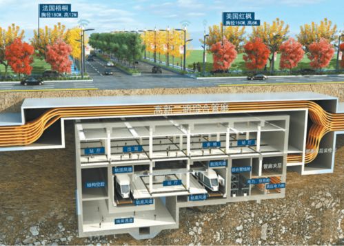 市政道路主干道順利竣工，城市發(fā)展再添新動(dòng)力